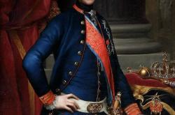 开云体育下载-拿破仑统治下的那不勒斯