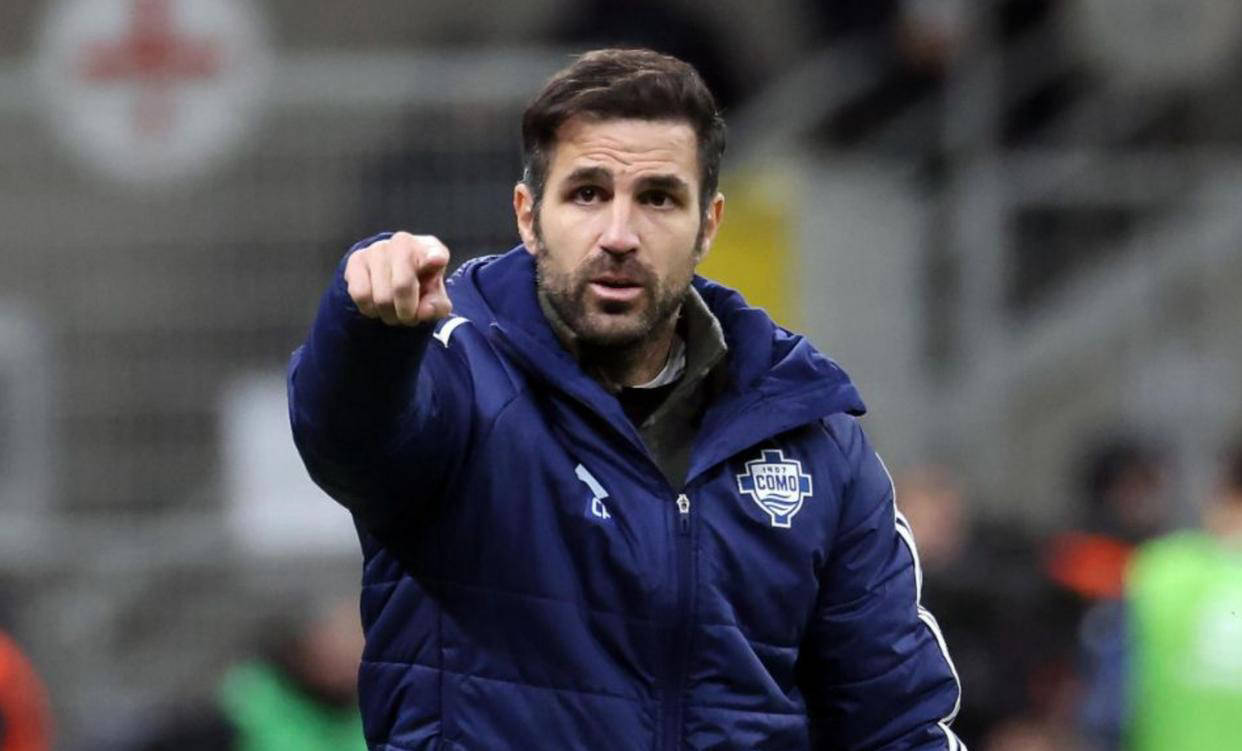 RB莱比锡全力争取法布雷加斯执教